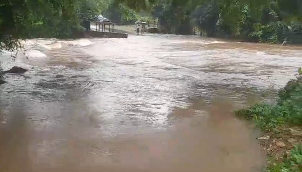 दमोह में भारी बारिश से ग्रामीण क्षेत्र प्रभावित, नाले उफान पर