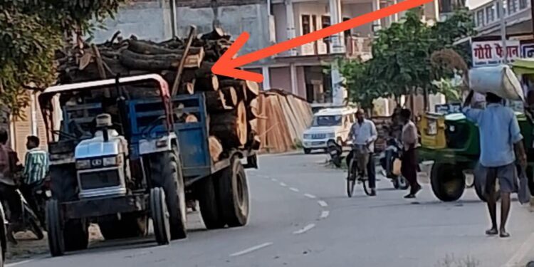 पुलिस व वन विभाग की मिलीभगत से चल रहा हरे पेड़ो पर आरा