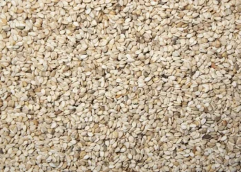 स्वास्थ्य टिप्स: तिल के बीज में दूध से भी ज्यादा कैल्शियम होता है, सही तरीके से सेवन करने पर मिलेंगे जीवनभर के फायदे।