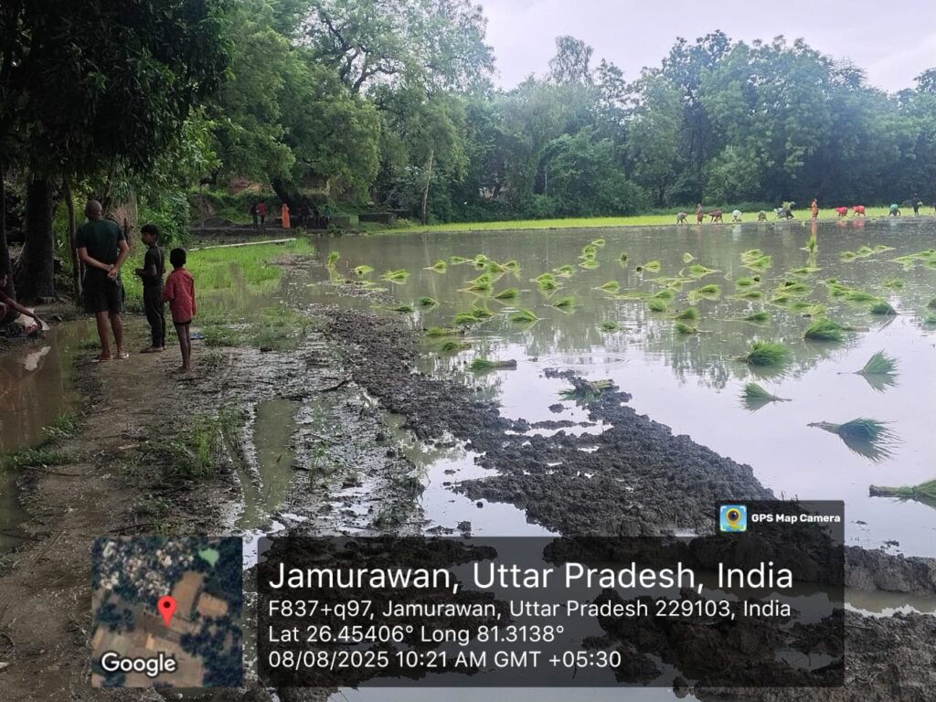 रायबरेली: सरकारी भूमि पर दबंगों का अवैध कब्जा, चकरोड तोड़कर खेत में मिलाने का आरोप