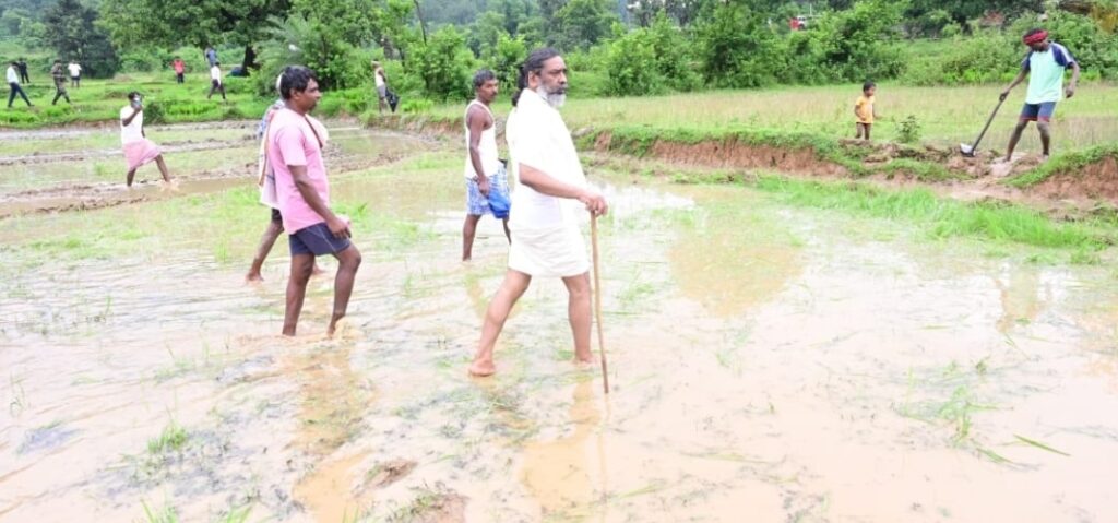 RAMGARH : मुख्यमंत्री हेमन्त सोरेन खेतों में उतरे, धान रोपनी का किया अवलोकन
