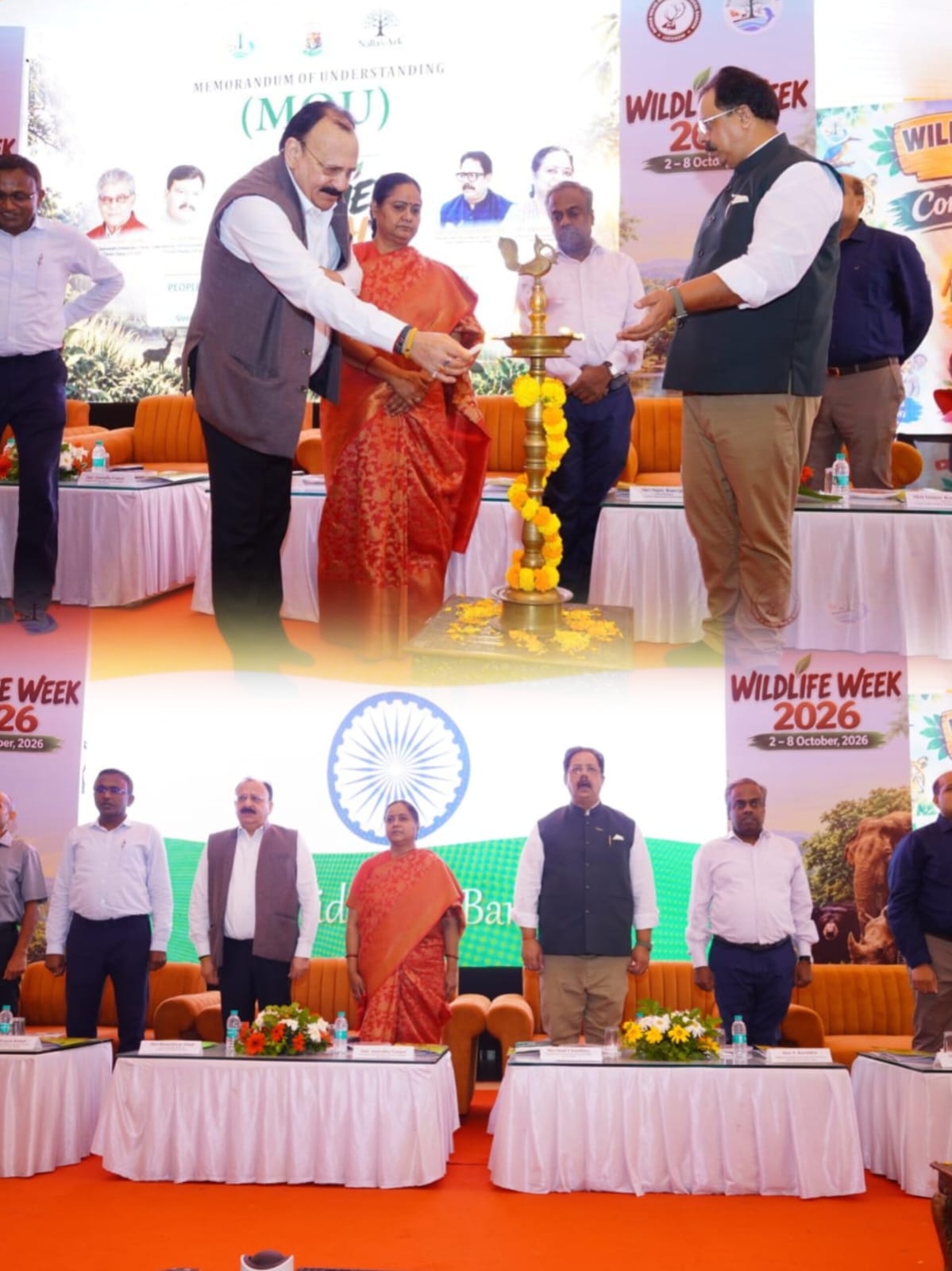 अब दुनिया देखेगी यूपी के तराई जंगलों की अनकही कहानियां, ‘अनटेम्ड तराई’ परियोजना शुरू