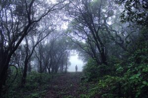 पूर्वांचल में 28 अक्टूबर से बेमौसम बारिश का यलो अलर्ट जारी