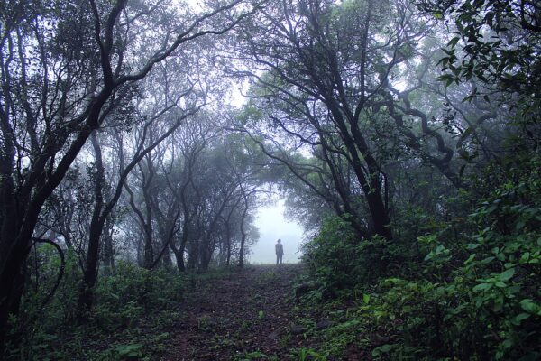 पूर्वांचल में 28 अक्टूबर से बेमौसम बारिश का यलो अलर्ट जारी