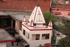 गाजीपुर में अवैध तमंचा और कारतूस समेत युवक गिरफ्तार हुआ