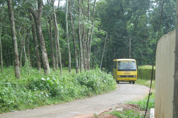 मथुरा में स्कूल बस ने दंपती को रौंदा, महिला की मौत