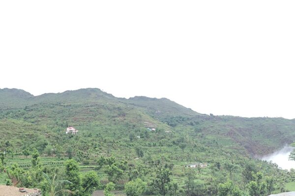 नाहन में स्वागत गेट पर विवाद, दो पक्षों में खूनी संघर्ष